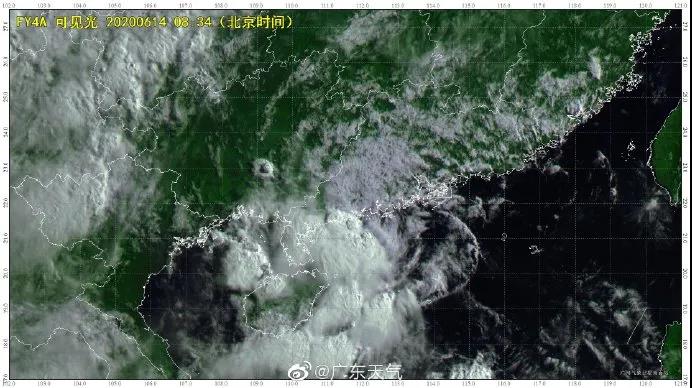 良種良法\臺風來了，你的牛大力種植場準備好了嗎？